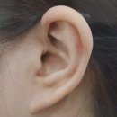 벨톤보청기제주센터