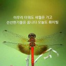 홍유릉로 이미지