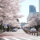 삼익비치아파트 이미지