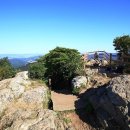 상록백제약국 이미지