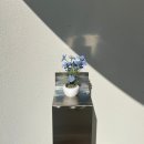 [춘천 숙소 추천] 감성 한옥 독채 호연담 (+방2개, 자쿠지, 글램핑, 불멍)