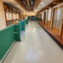 486독캠프 이미지