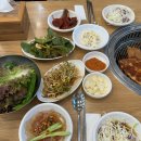 진돼지
