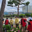 삼향-6 이미지