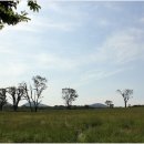 시선목장 이미지