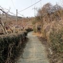 청도군청 이미지