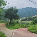 구만리 어룡동 Daum카페