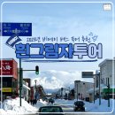 삿포로 비에이 투어 - 흰그림자투어 / 흰수염폭포, 탁신관, 크리스마스트리, 닝구르테라스