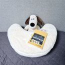 레벨업 | 우리 아이 바른 자세 거북목 예방 펌플렉스 바른자세 레벨업쿠션 130 사용 후기