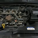 하마모터스 이미지