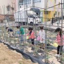 하나유치원 이미지