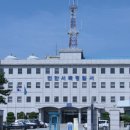 입장거봉포도(서울) 이미지