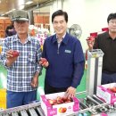 자인농협 농산물 산지유통센터 이미지