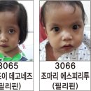 마이마리 이미지