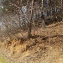 용 태양광발전소 이미지