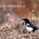 까치PC 이미지