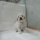 찬영