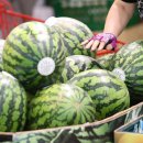 먹거리·기름값 관리 고삐 죈다…“물가 잡아야 민생 안정” 이미지