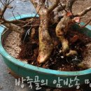 방죽골농장 이미지