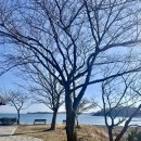 창리 쉼터 | 태안 당일치기 나들이 기록🩵-천수만꽃게장/윤슬카페/고동 줍기🐚