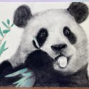 자연미술교습소