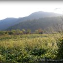 예미초등학교 이미지