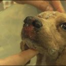 희대농장 이미지