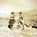 원산전자 이미지