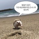 승무 | 2025 상반기 코레일 (늦은) 승무 필기후기