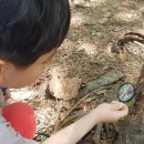 사상근린공원 이미지