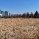 성내유수지생태공원 네이버블로그
