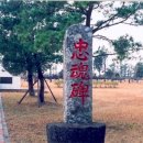 성산읍사무소 이미지