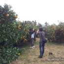 시우네농장 이미지