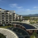 좋은아침약국 | [ 나트랑 태교여행 - 4일차 ] 깜란 라스파 / 할머니반쎄오 / 토이켄 커피 / 아미아나깜란 리조트 짐센터...