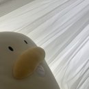 2023 서일페 v.15 후기