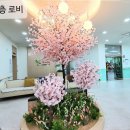 행복노인복지센터 | 마산주간보호센터 고민하다가 백세행복노인복지센터 이용해본 후기임