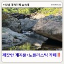 창녕옥천계곡 노플라스틱 카페 숲속애 방문 후기(위치,주차정보 등)