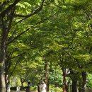 미추홀공원 다례원 이미지