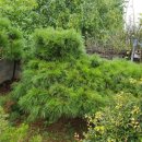 덕곡별장 이미지