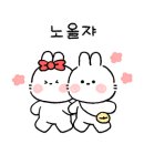 카르디아 이미지