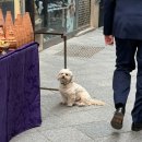 현아세탁소 이미지