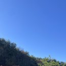 솔거리 하우스 이미지