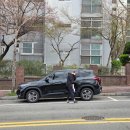 새싹피티 | 왜 항상 일상블로그만 쓰고나면 새벽2시야