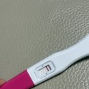 | 신선 2차 | 4일배양 이식 날짜별 임테기, 9일차 1차 피검 수치 60! 에이치아이 면역글로불린 후기