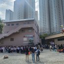 메그네이트 이미지