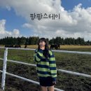 팜팜스테이 이미지