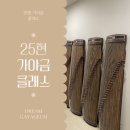 가야금(소수정예) 이미지