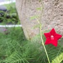 천금복집 이미지