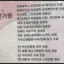 진영마미치과의원 이미지
