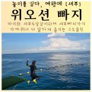 세부 위오션 빠지 아이와 세부두달살이하며 딥스노클링하고 라온마사지 받기